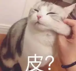  福特f150猛禽怎么样