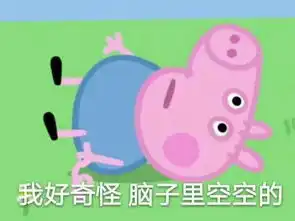  你见过最邋遢的女生有多邋遢