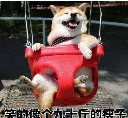  内存准备好了吗你们要的柴犬表情包来了