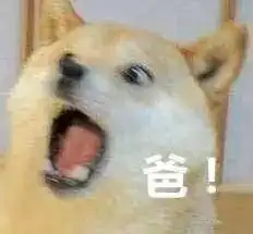  暑假来了,你准备好了吗