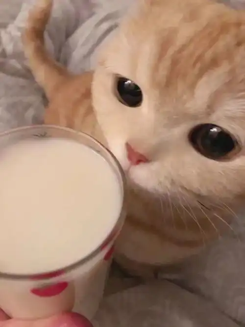  喜欢和你一起吹泡泡