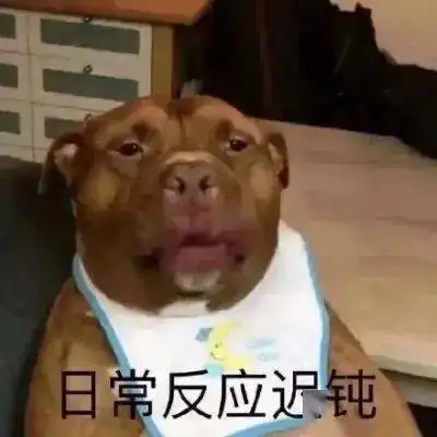 发工资表情包沙雕我爸