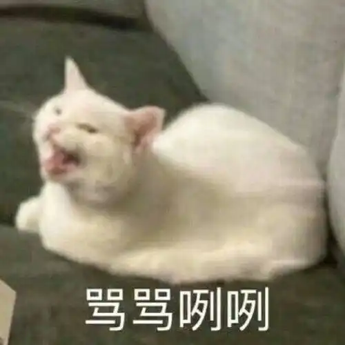  有哪些学生党看完原地痛哭的沙雕文案