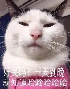  随便给猫咪送礼物的后果就是打死我也不会用的