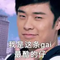 爱情公寓表情包带字微信头像图片大全 爱情公寓表情包带字微信头像图片大全