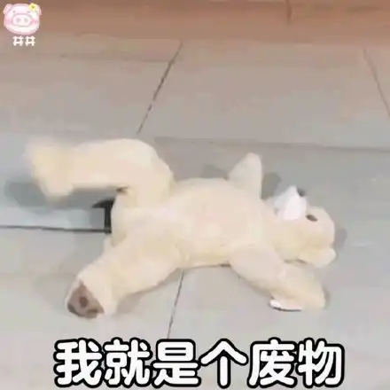  表情包快乐熊表情,只想当个咸鱼