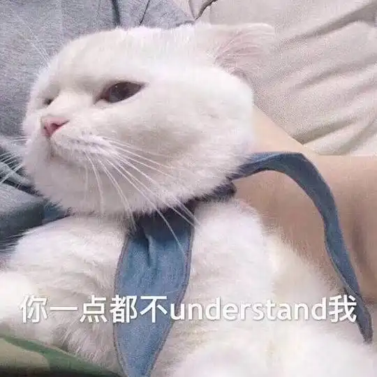  的相册表情包s