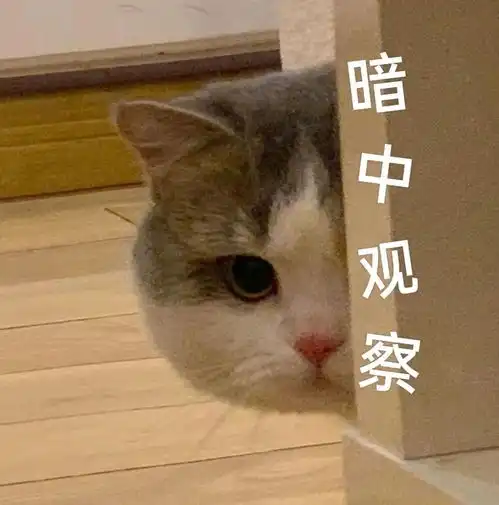 和对象聊天必备表情包,快来接收叭 和对象聊天必备表情包,快来接收叭