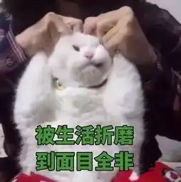 修仙功法表情包和我