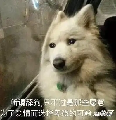  答应我,别当舔狗了好吗