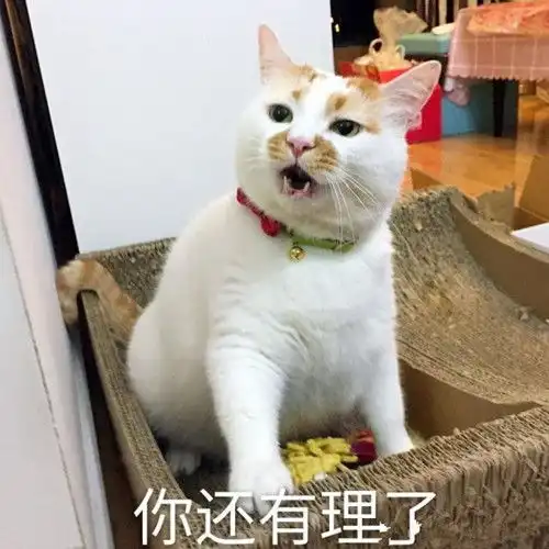  欢笑集锦然后她就看着手里的优酸乳盒子哭了
