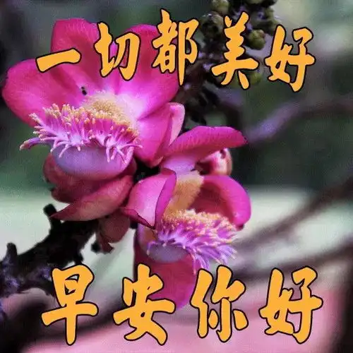  一天的心情靠随和,一生的幸福靠随缘,朋友们,早上好人生