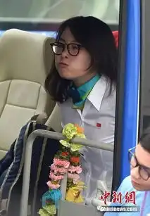  傅园慧撞脸惠若琪附最新表情包