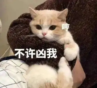  微信表情包上限变成999,快贡献出你的表情包威胁.jpg
