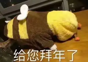  各位a站的铁子