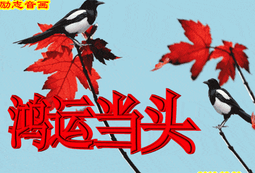  8张不用打字就可以聊天的早上好问候动态图片有创意喜庆的冬日早安问候动画表情图片