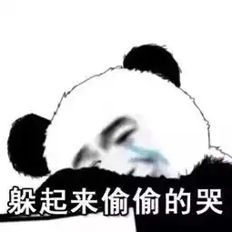  春节表情包斗图加油站