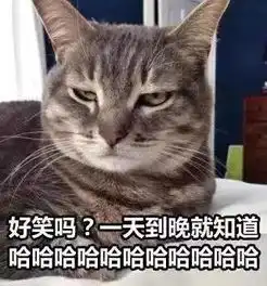  一大波猫咪表情包正在来袭,要斗图的拿走不谢