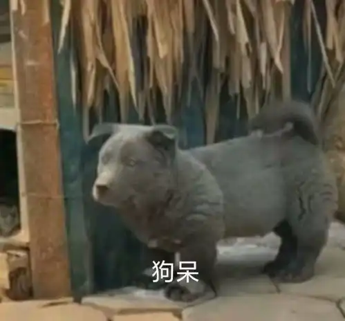  表情包可爱狗勾表情包合集