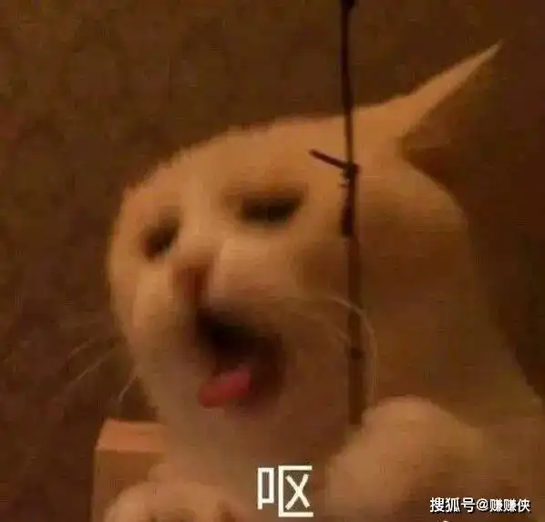  表情包图片表情达意,聊天必备