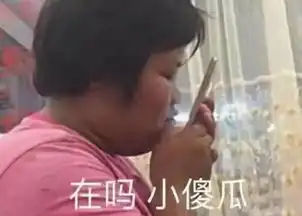  王者荣耀土豪网恋2年奔现翻车,说好的婴儿肥却成肉装貂蝉