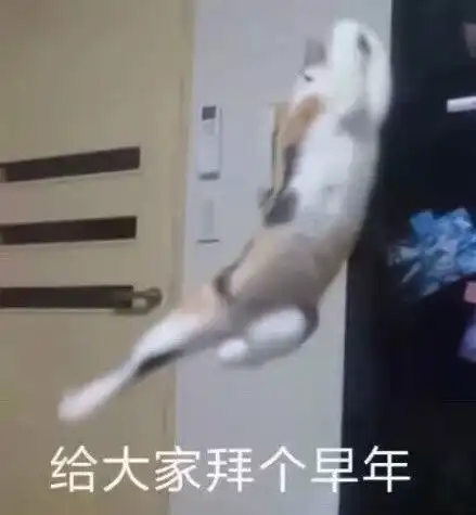 约表情包杜蕾斯低俗