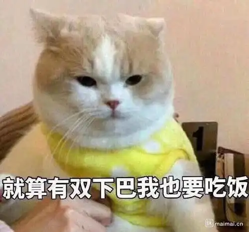 猥琐猫人脸表情包全集算