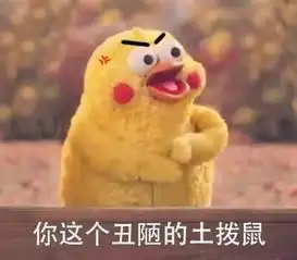  鹦鹉兄弟骂人表情包你算哪块小饼干
