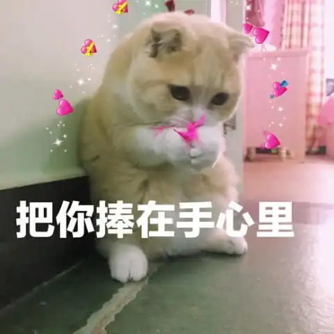  表情包单身的快乐你根本想象不到
