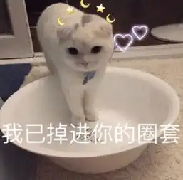  十条笑话快考试了,电视不能多看