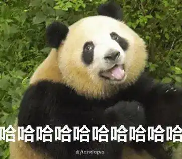  我们要去梅肉小熊猫家里做客,你也来噻