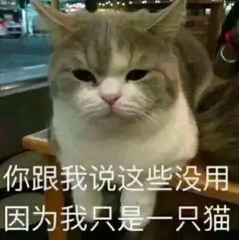  诶我喜欢的人还不回我消息