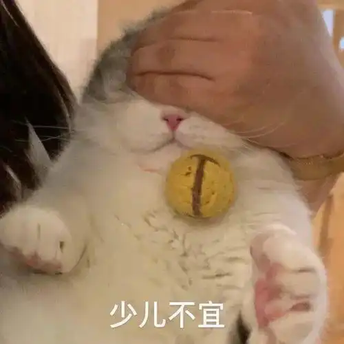  内衣脱掉屁股抬高,床戏指导员的日常操作