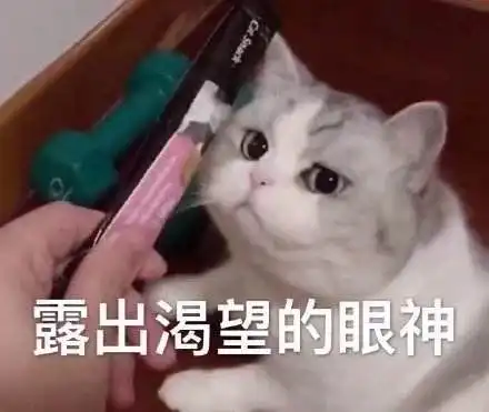  太难了错过9月开学,不想在国内耗一年,不想读高商,还有什么法子法国