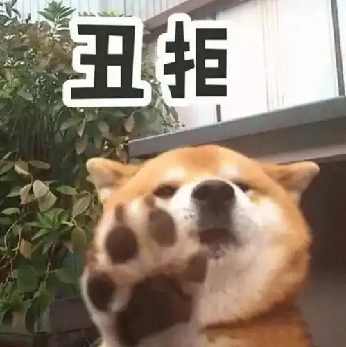 小仙女最美表情包柴犬