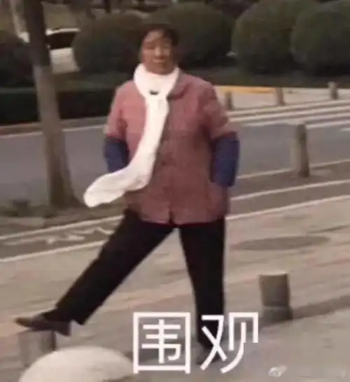 认怂表情包沙雕