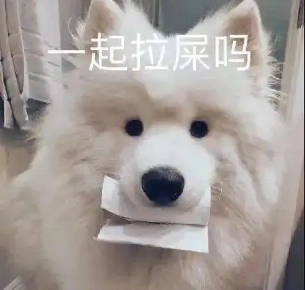  一大波微信表情包来袭,请接稳