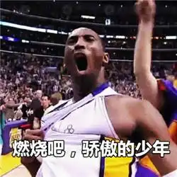  科比告别战60分为了回顾科比的篮球生涯我们做了824个表情包