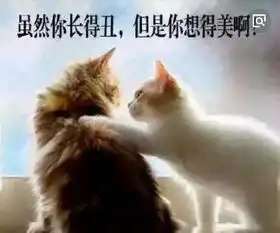  要是当年我宿舍也有这条件就好了然而有人并不喜欢