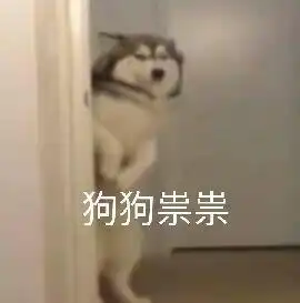  今日热门无水印表情包40张