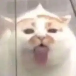  你们都有什么亲自见过的神秘事件吗永远对世界保持敬畏龙在