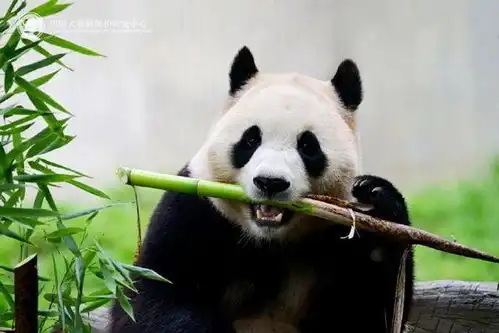  妈妈又生气了妈妈又生气了我叫方小宇