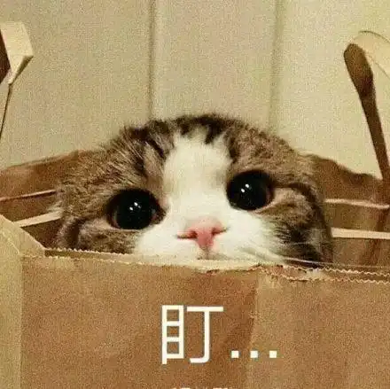  2021考研大纲会在七月发布吗你了解多少一起来看