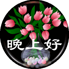  晚上好微信表情晚上好表情包