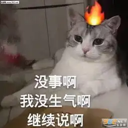  你说的都对但我并不会改熊猫表情包你给我乖一点可爱小女孩表情包下载乐游网游戏下载