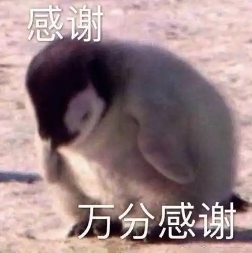  最新热门可爱搞笑表情包图片