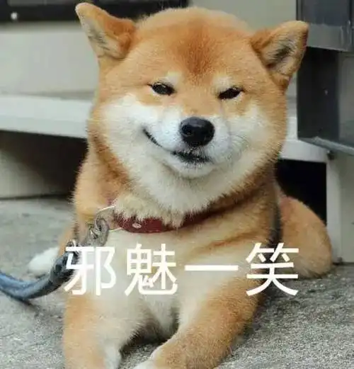  法斗叼着零食向英斗炫耀,表情太狗太欠揍