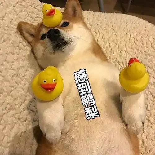  请问实习工资高低重要吗