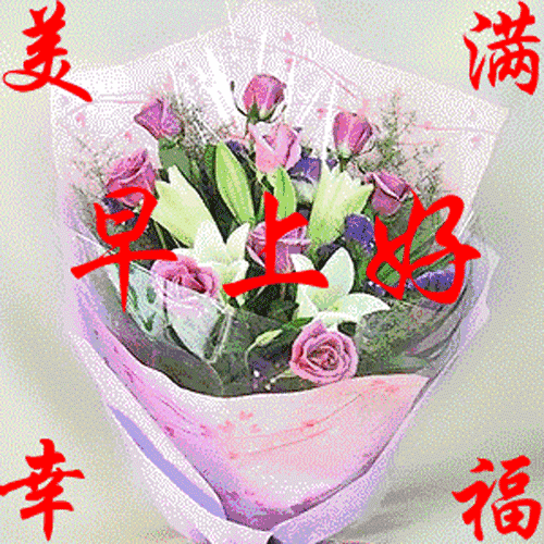  活得清醒的人,容易烦恼活得糊涂的人,容易幸福,早安