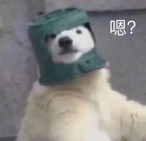  家人们我一直以为我看不下去二哈是我的问题